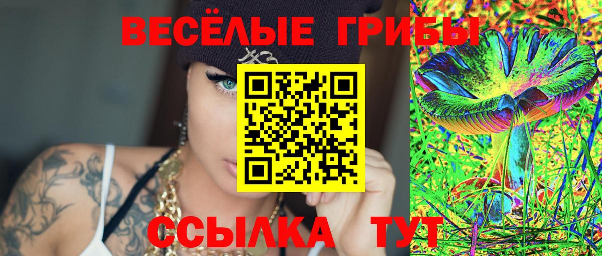где купить   Галлюциногенные грибы Cubensis  Вход с VPN  Скопин 