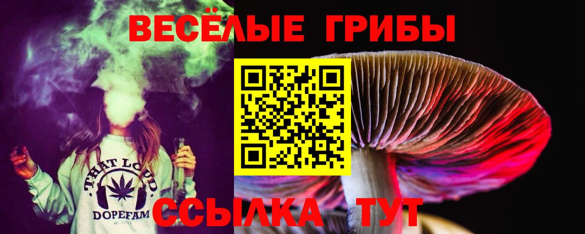 Псилоцибиновые грибы мицелий Скопин